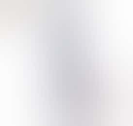 Lost Farm "Black Raspberry x Northern Lights" CBN Gummies