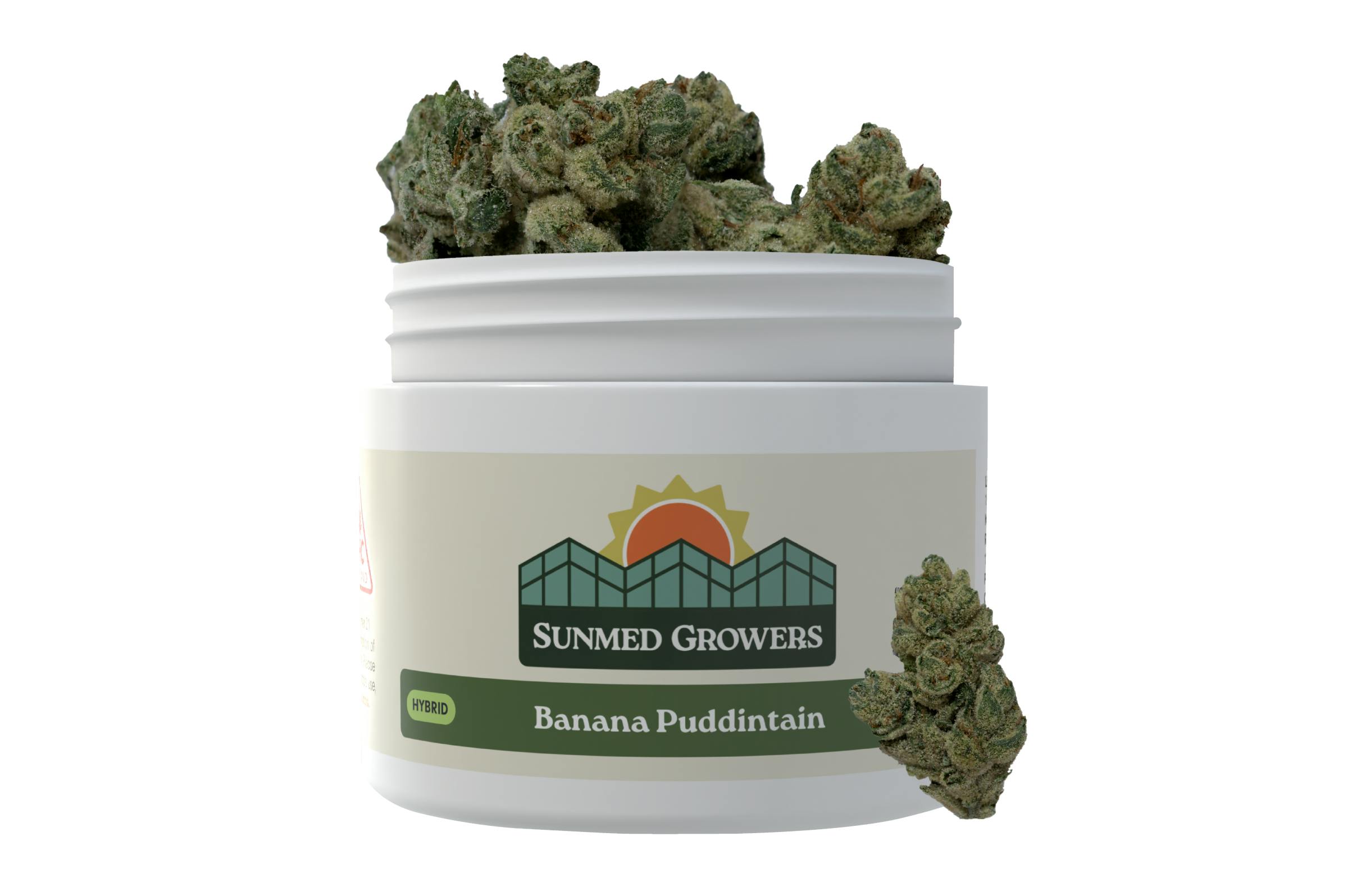 Banana Puddintain Flower (7g) by SunMed Growers