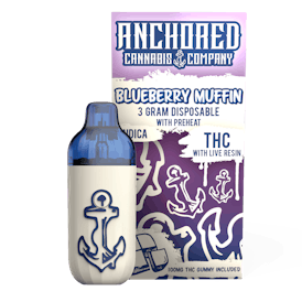 Blueberry Muffin - 3g Dispo - Anchored