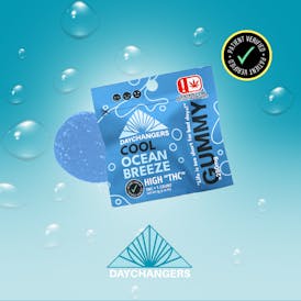 Day Changer - Ocean Breeze -SINGLES- 250mg MAX THC