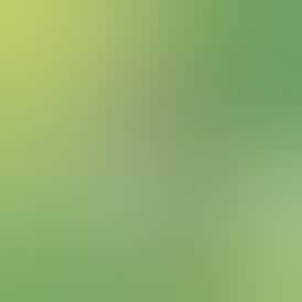 Honeydew Pineapple - Synergy 1g PRO Vape Device — BREEZE Canna