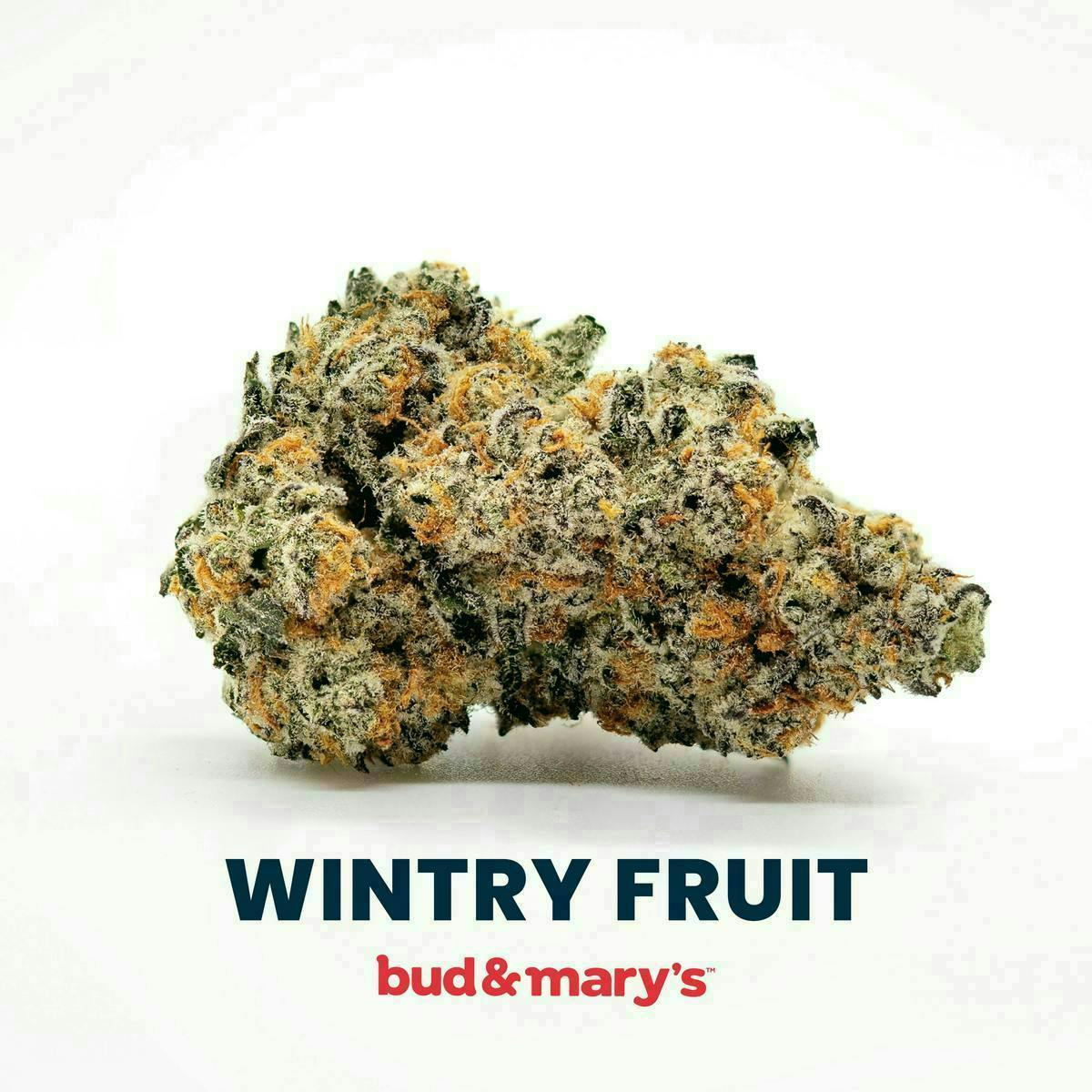 Wintry Fruit - 3.5g