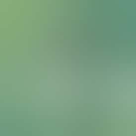 Spearmint - Synergy 1g PRO Vape Device — BREEZE Canna