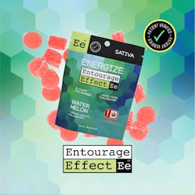 Entourage Effect SATIVA Watermelon Gummy 10ct