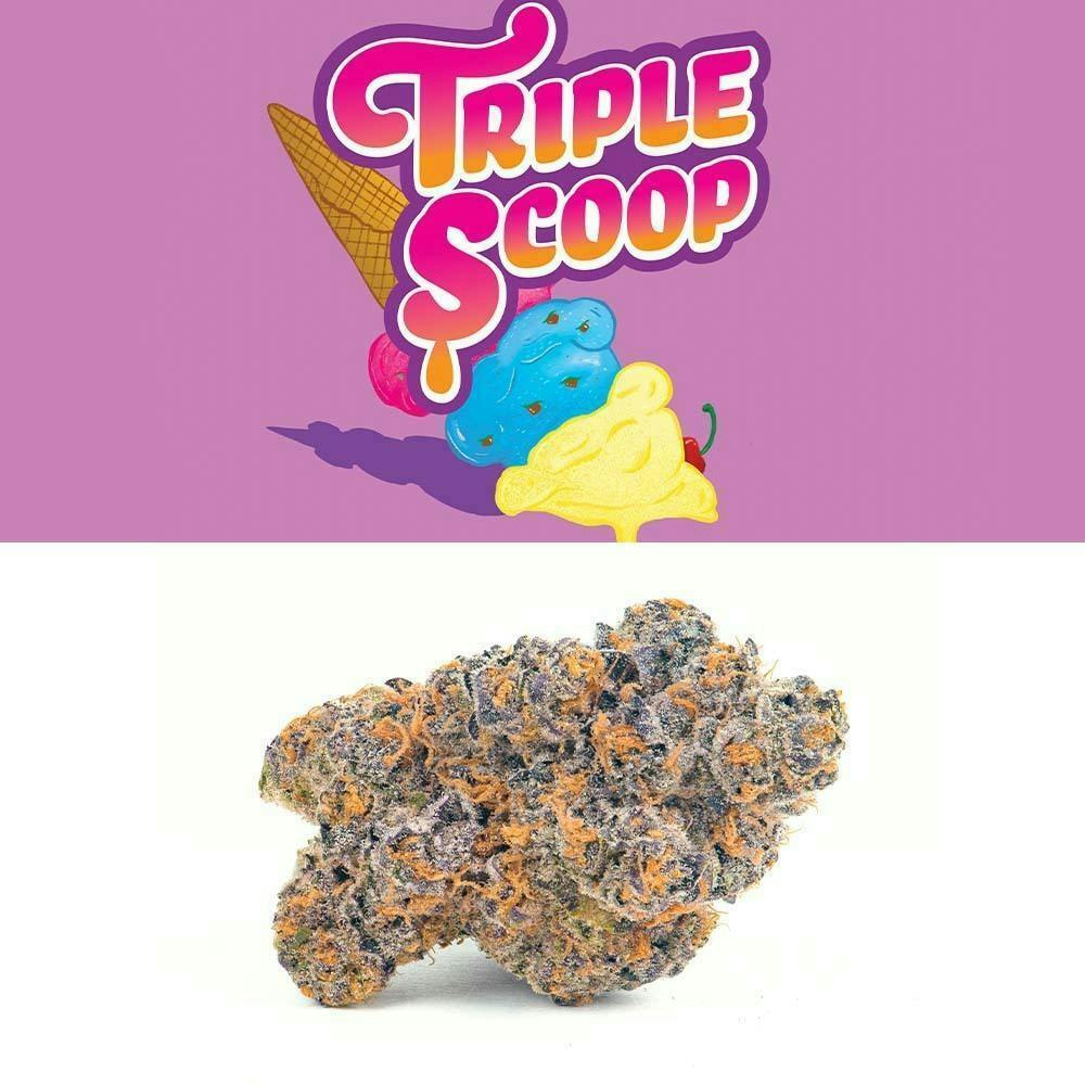 Triple Scoop Flutter Short Set main image 1