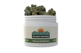 Banana Puddintain Flower (3.5g)