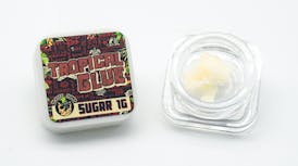 El Gato Concentrate 1g - Tropical Glue (Sugar)