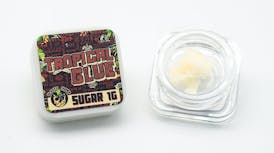 El Gato Concentrate 1g - Tropical Glue (Sugar)