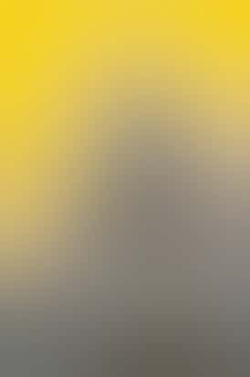 Zkittlez Flower | 14g