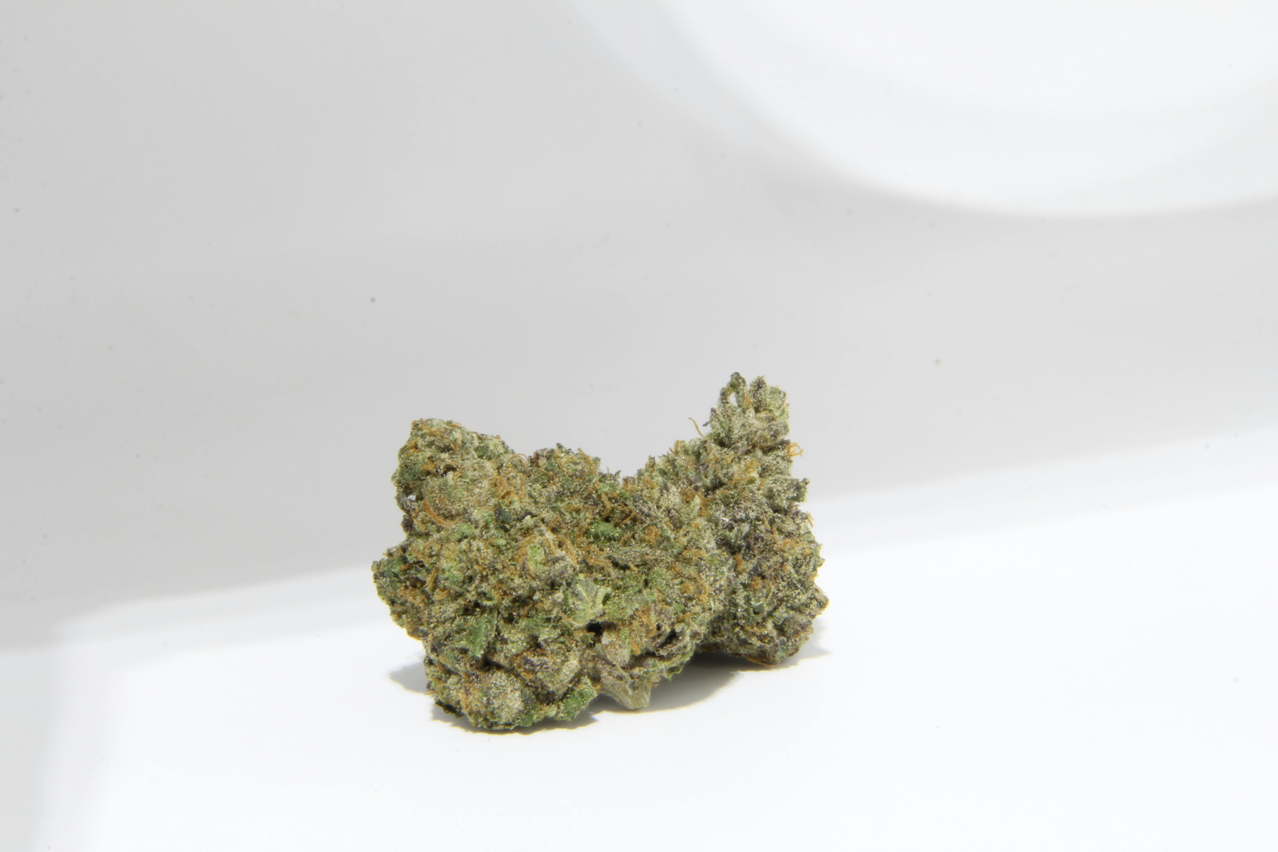 CALI BUDS: Biscotti