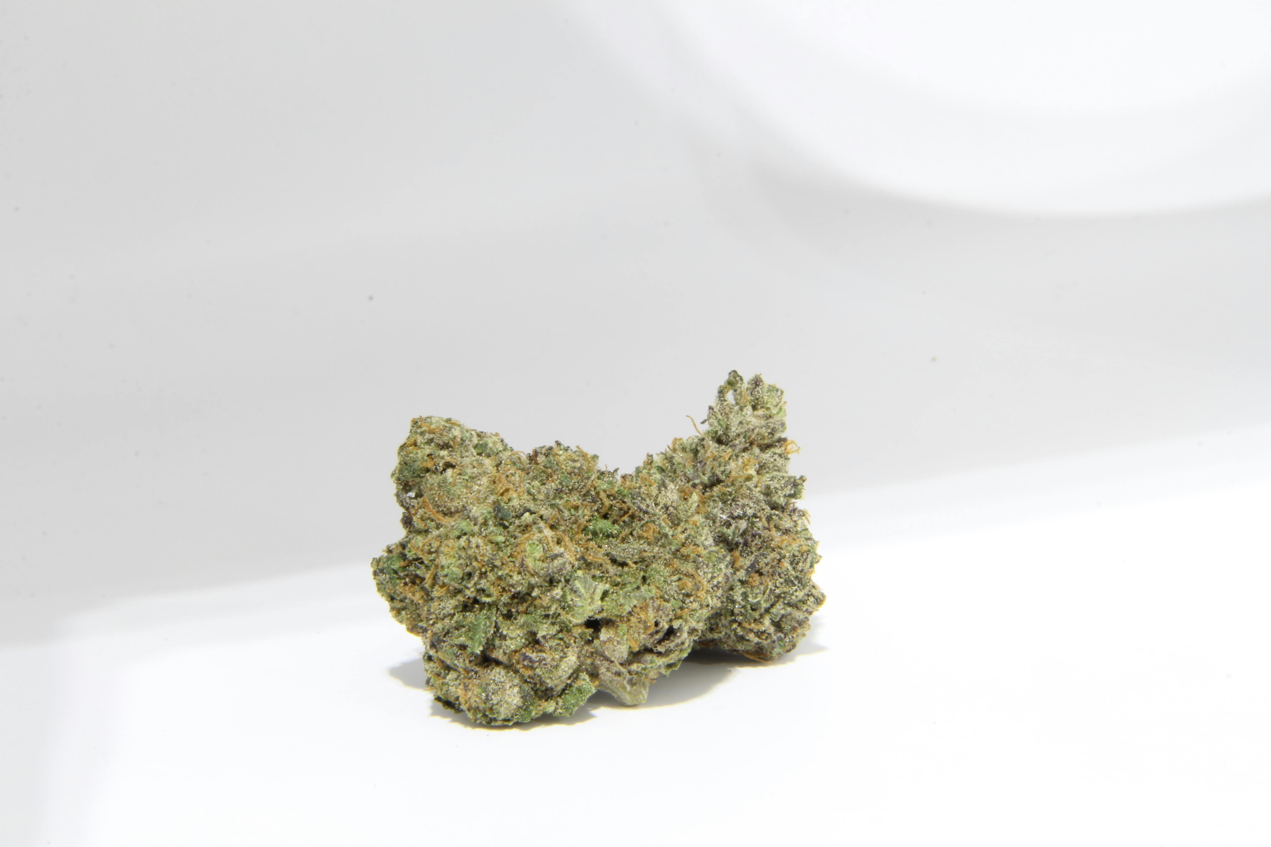 CALI BUDS: Biscotti