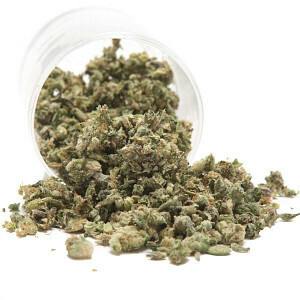 CALI BUDS | DJ-91 | SHAKE | 14G
