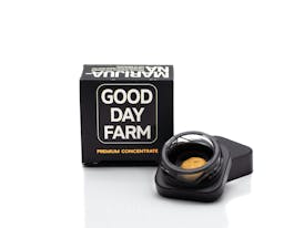 GDF: Concentrate | Apple Banana Bread | Badder | 1g