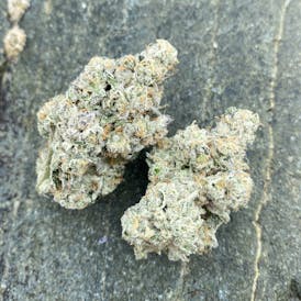 LA Kush Cake - Maine Craft Cannabis