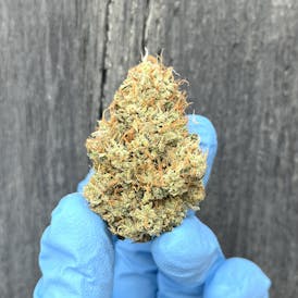 Legend of Nigeria - Maine Craft Cannabis