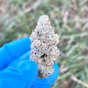Space Age Cake | Maine Craft Cannabis 