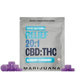 GDF: Wellness Gummies | Blueberry Elderberry 20:1 CBD:THC | 10pk