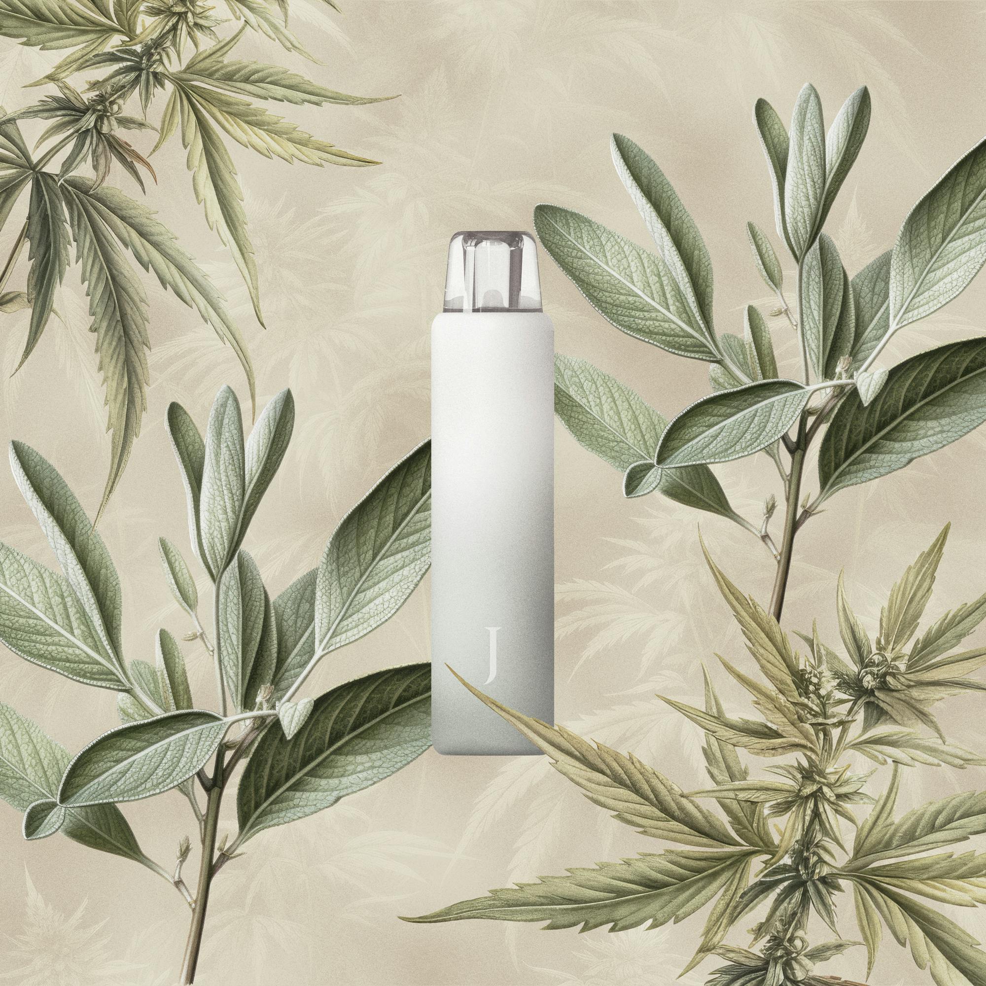 All In One Botanical Vape