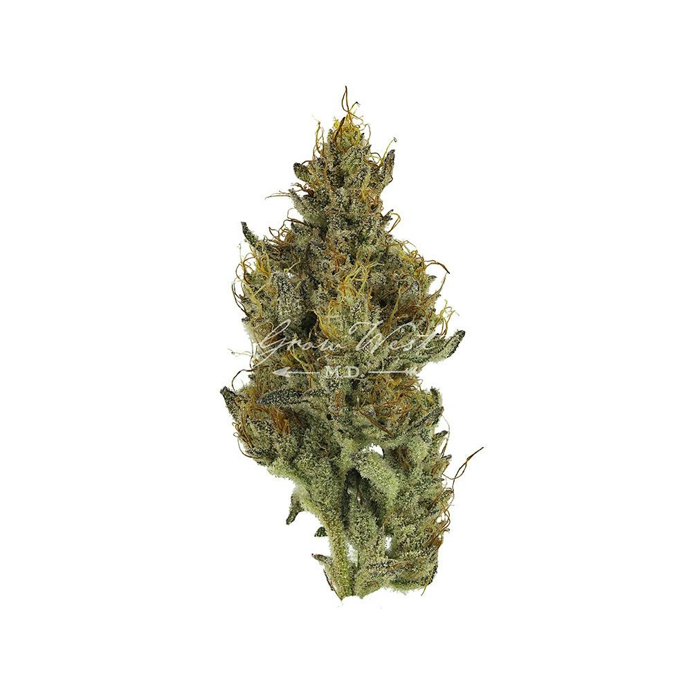 Goat Piss | Reserve | Hand-Trimmed Flower | 3.5g by Grow West Cannabis Company