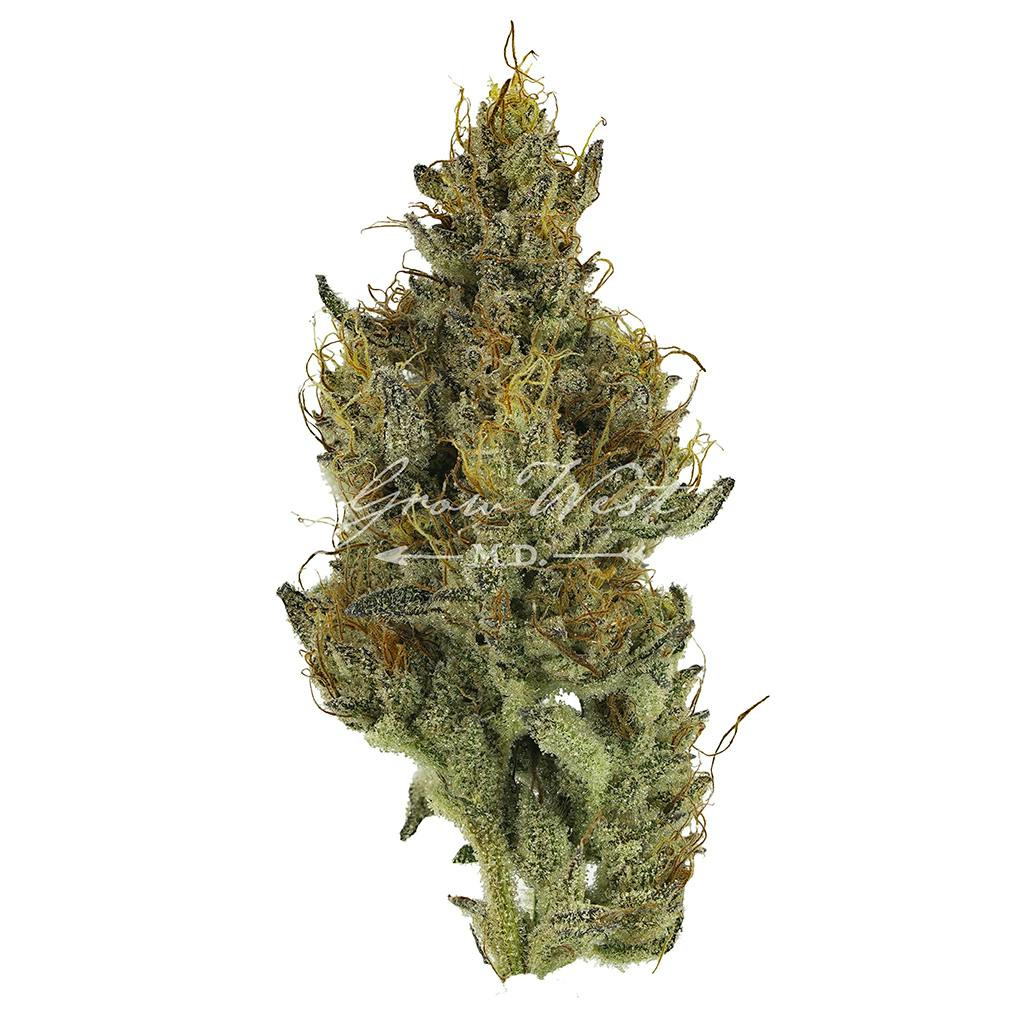 Goat Piss | Premium | Hand-Trimmed Flower by Grow West Cannabis Company