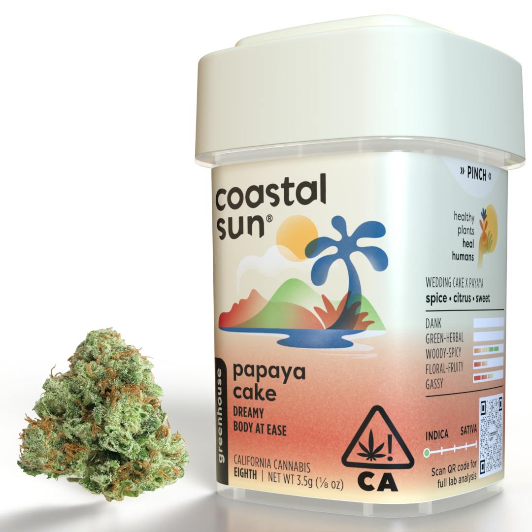 Coastal Sun — Papaya Cake