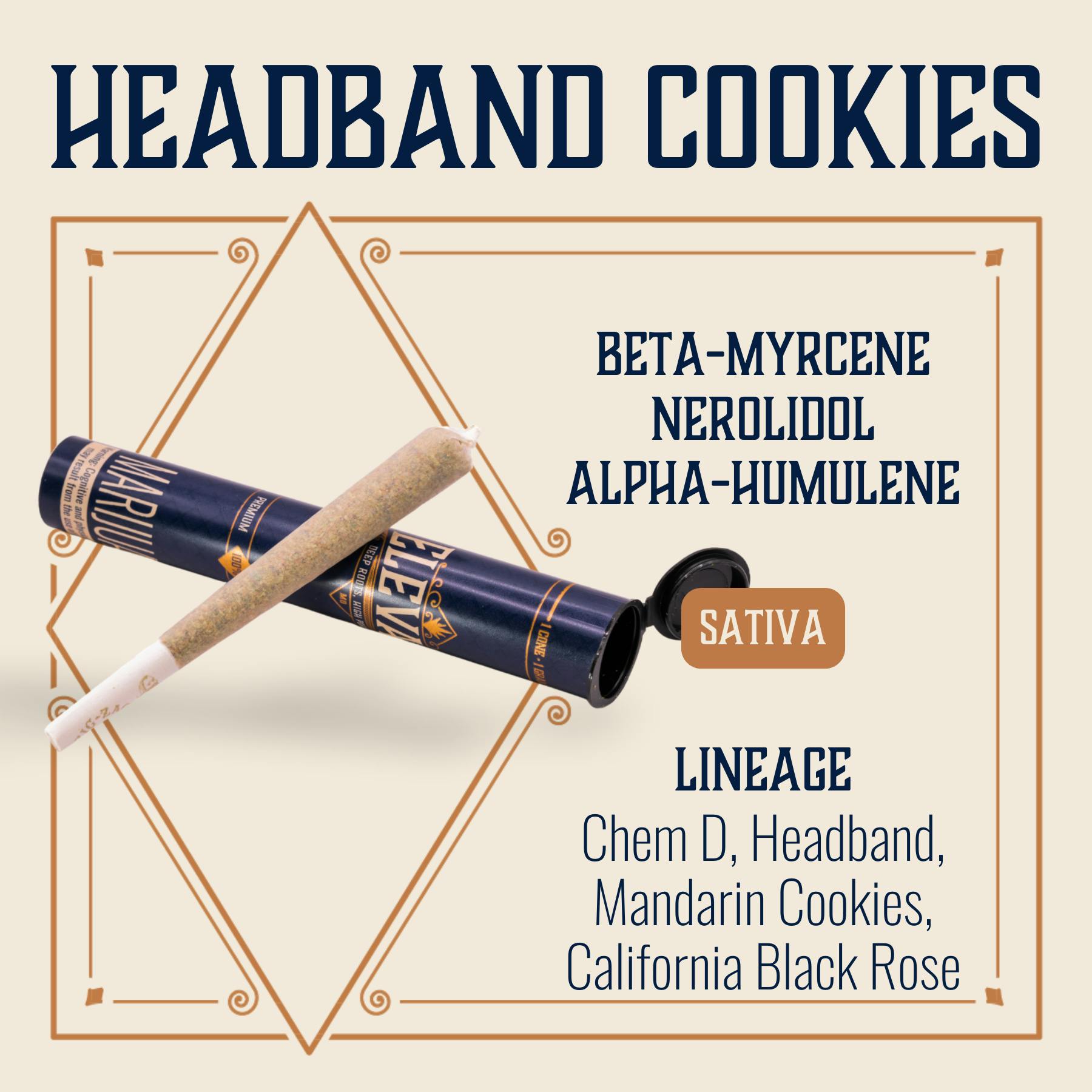 Headband Cookies - 1g Cone