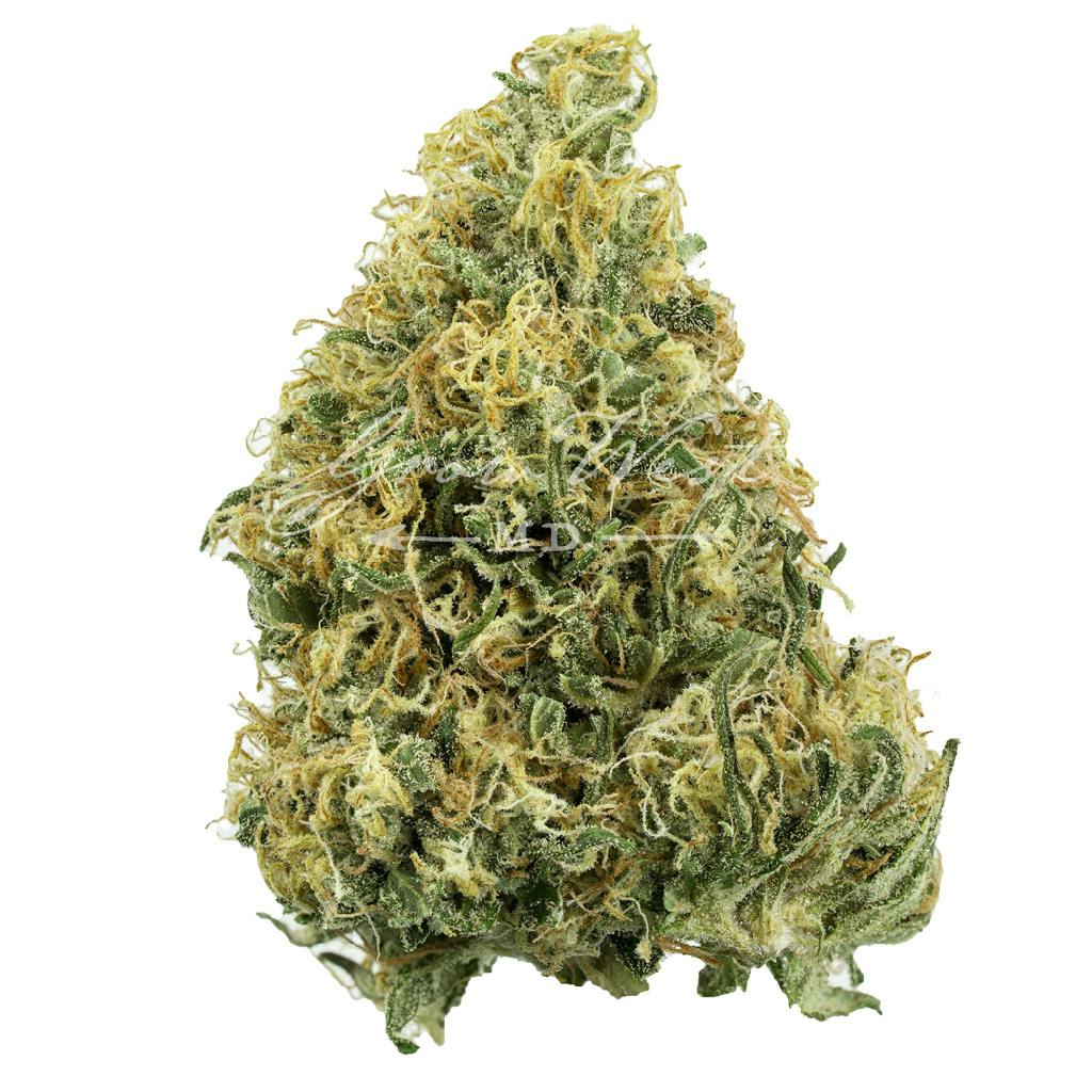 Lambsbread | Gold | Trimmed | 14g