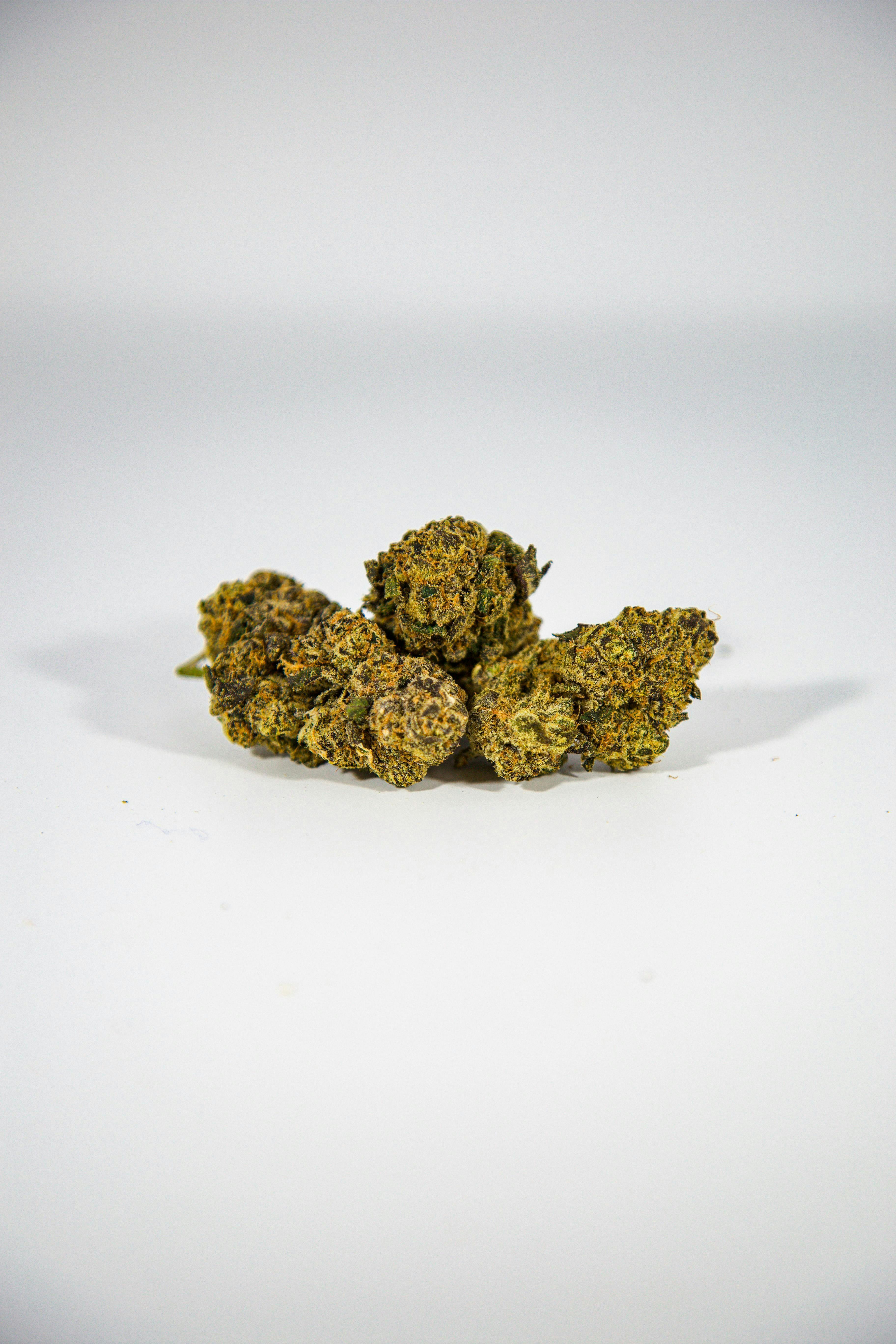 SHATTER HOUSE | Jackpot Matcha 3.5g Prepack