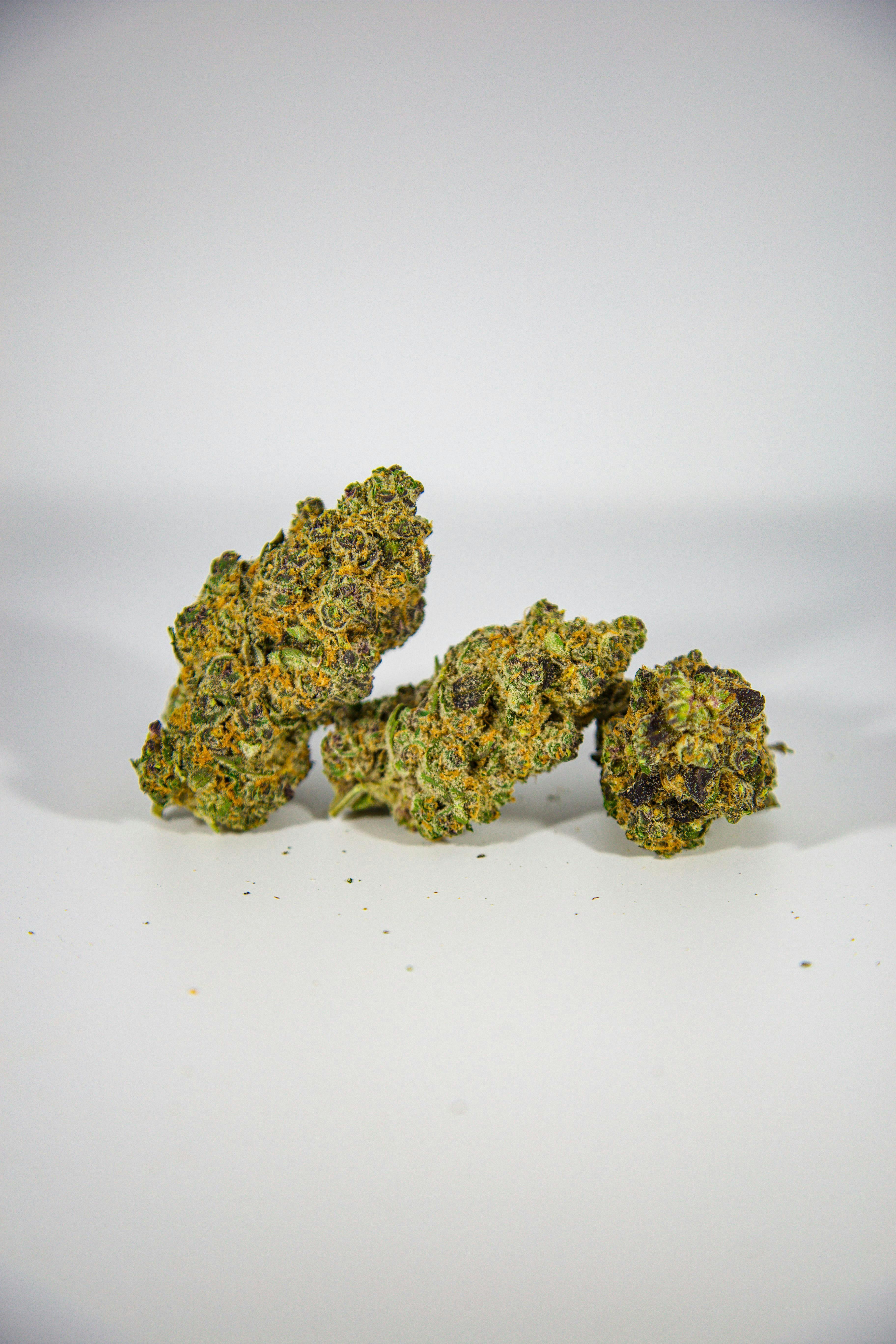 SHATTER HOUSE | Super Boof Bulk Flower