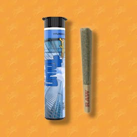 SHATTER HOUSE | Town Heights 1.5g Preroll