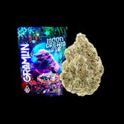 Moon Cream Pie 3.5g Flower