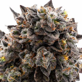 GDF: Flower | Gas Truffle | 3.5g
