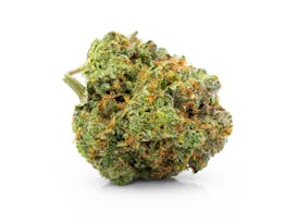 GDF: Flower | Gush Mintz #8 | 3.5g