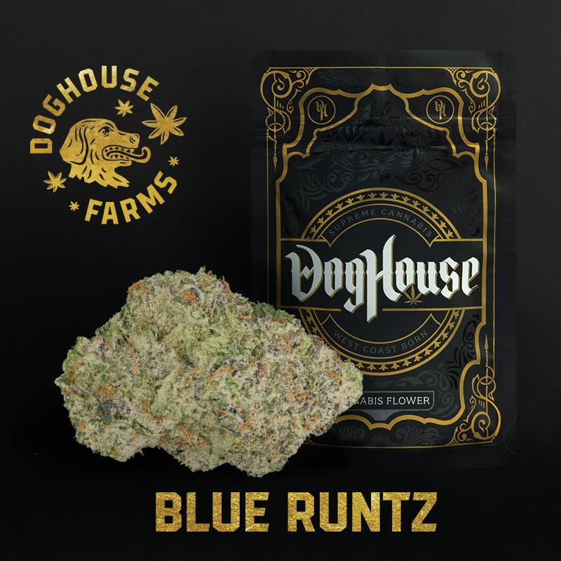 Blue Runtz - Shake - Hybrid by DogHouse Farms