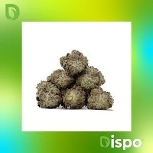 Dispo | Buds | Grape Cream Cake -1g