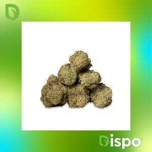 Dispo | Buds | Peanut Butter Breath - 1g by Dispo