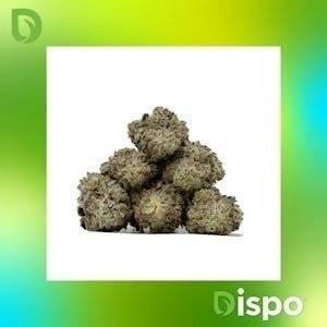 Dispo | Buds | Sherb - 1g by Dispo