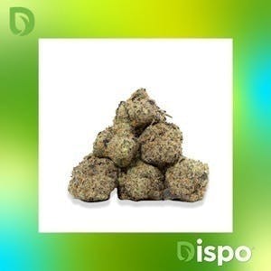 Dispo | Buds | Super Boof - 1g