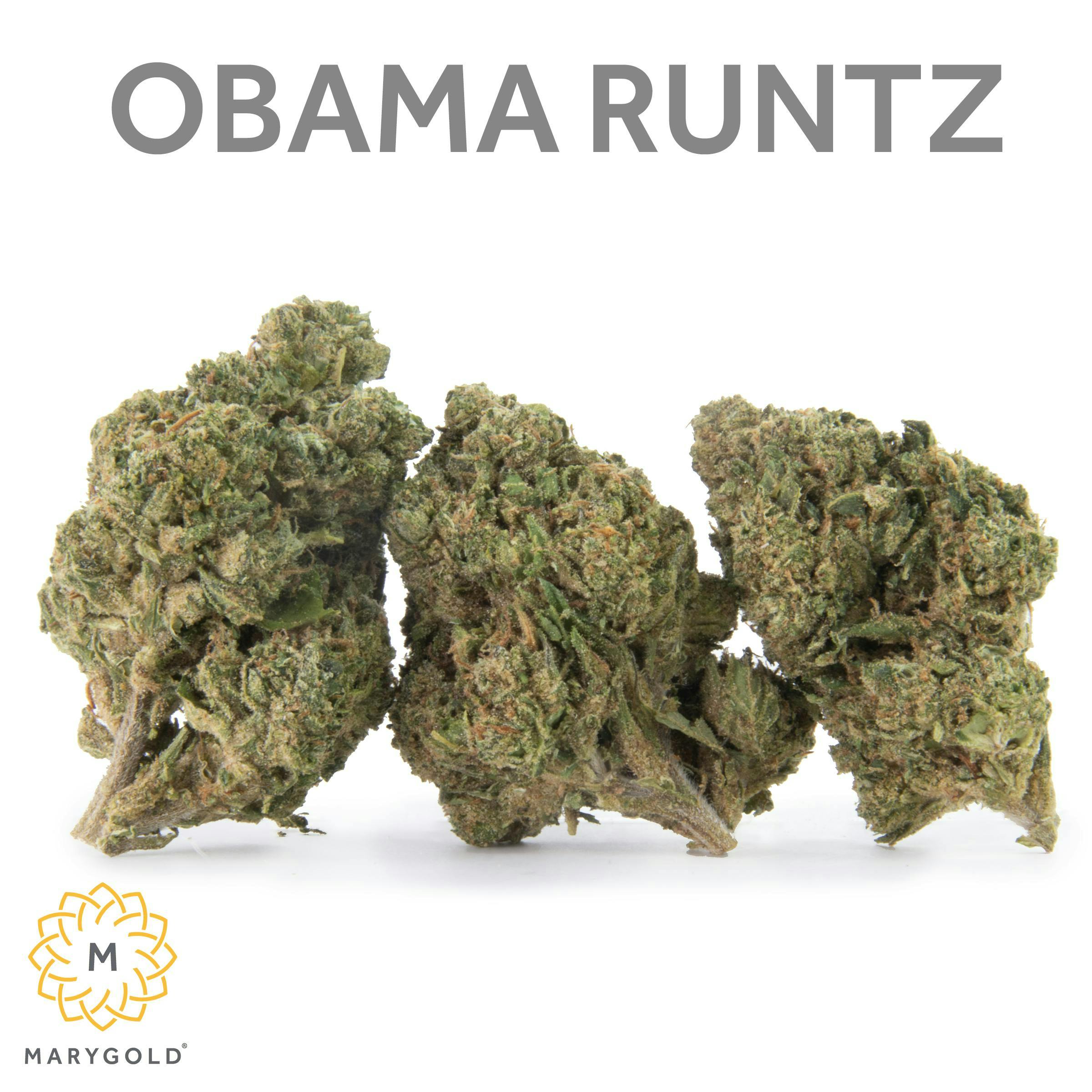 Marygold | Obama Runtz | Big Buds | 14g