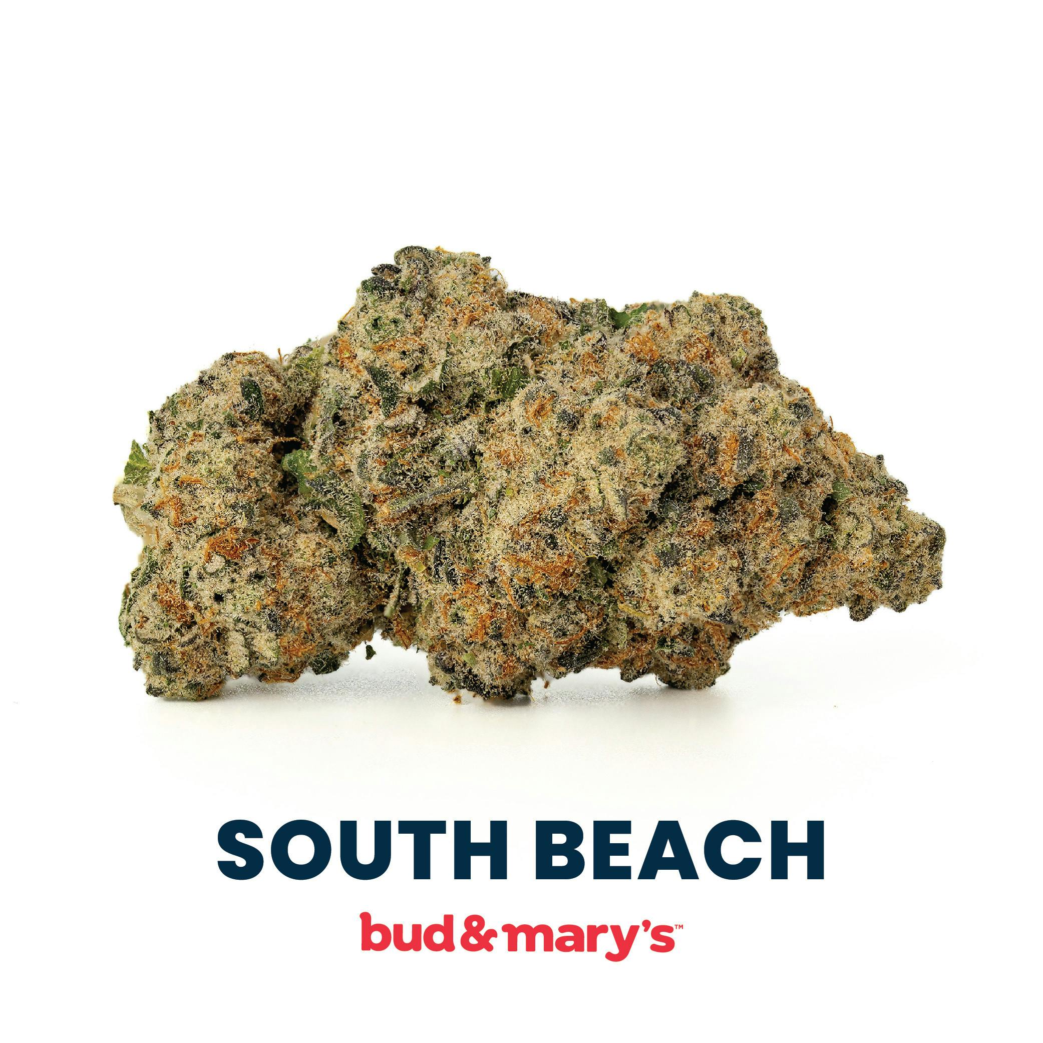 South Beach - 3.5g by Bud & Mary's