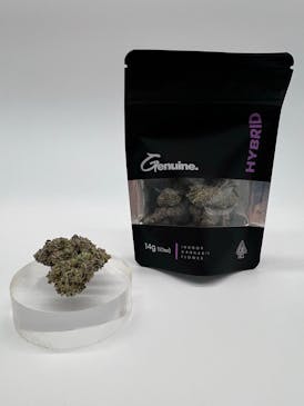 Gelato Mintz - Indoor Flower - 14g (Mylar)
