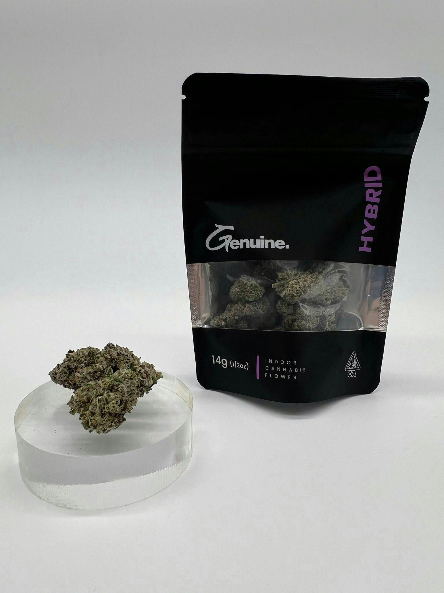 Genuine: Gelato Mintz