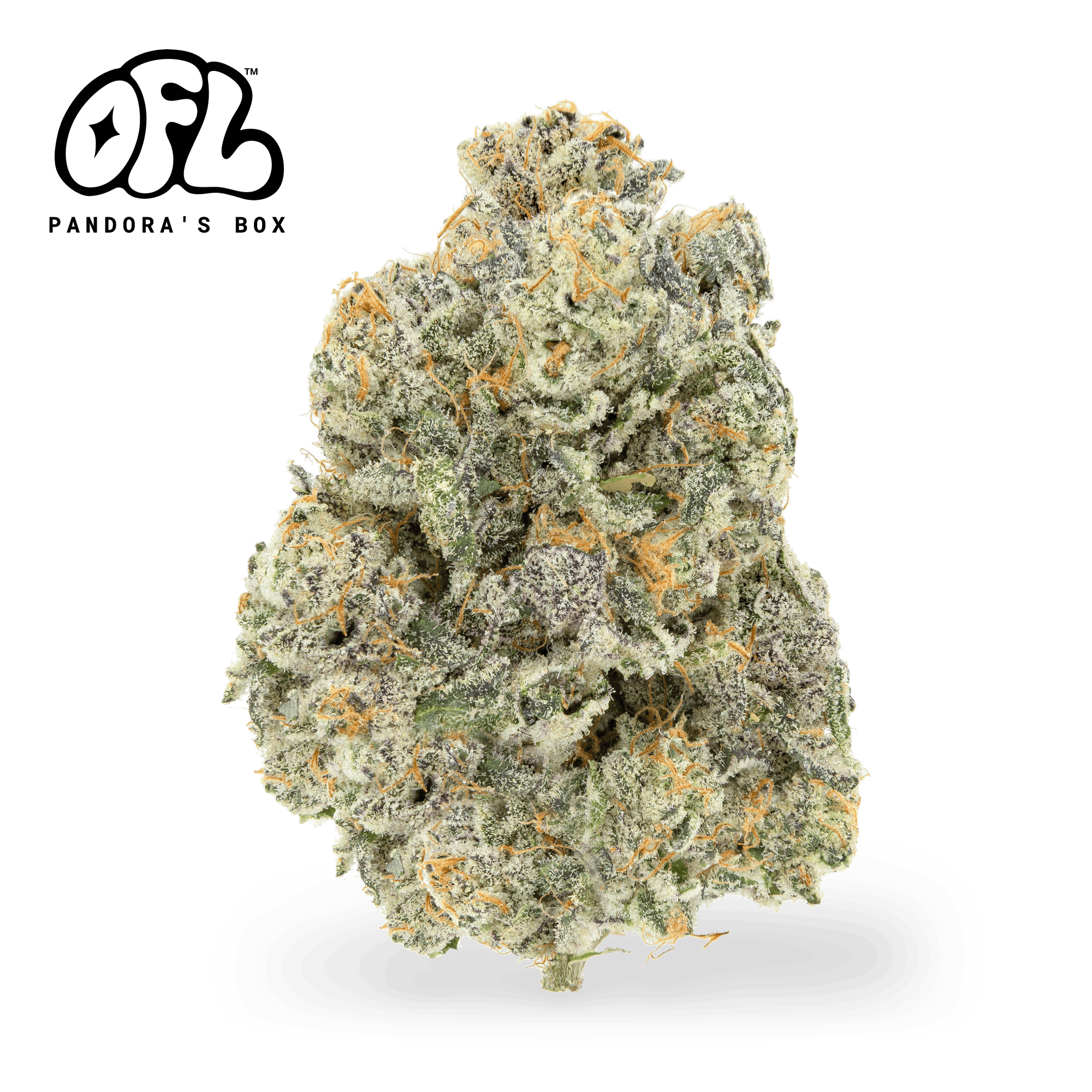 Pandora's Box Premium Flower 3.5g - Funsize Series