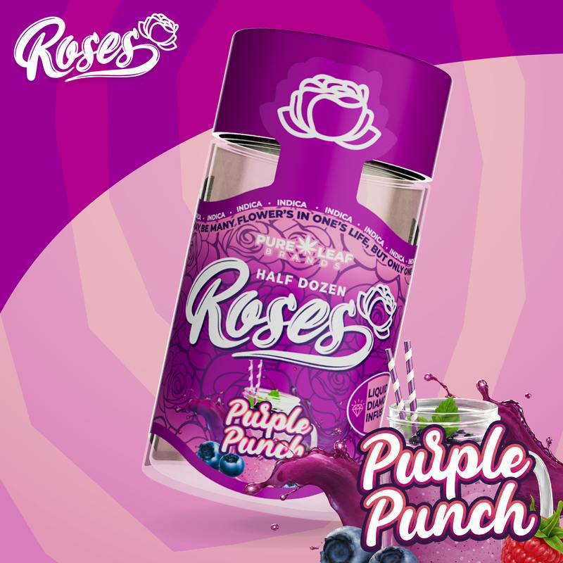 Purple Punch | LQD Infused Minis | 0.6g each | 6pk by Roses