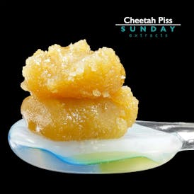 1g Concentrate Cheetah Piss
