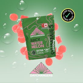 Edible - Day Changers - 2500mg THC Sativa Watermelon Gummy 10ct