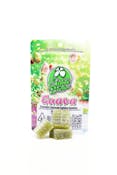 100mg Eighth Brother Single Cut-a-Dose Gummy - Guava