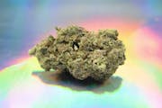Gush Mints 1/4 Ounce/7Grams(26%THC, Hybrid)