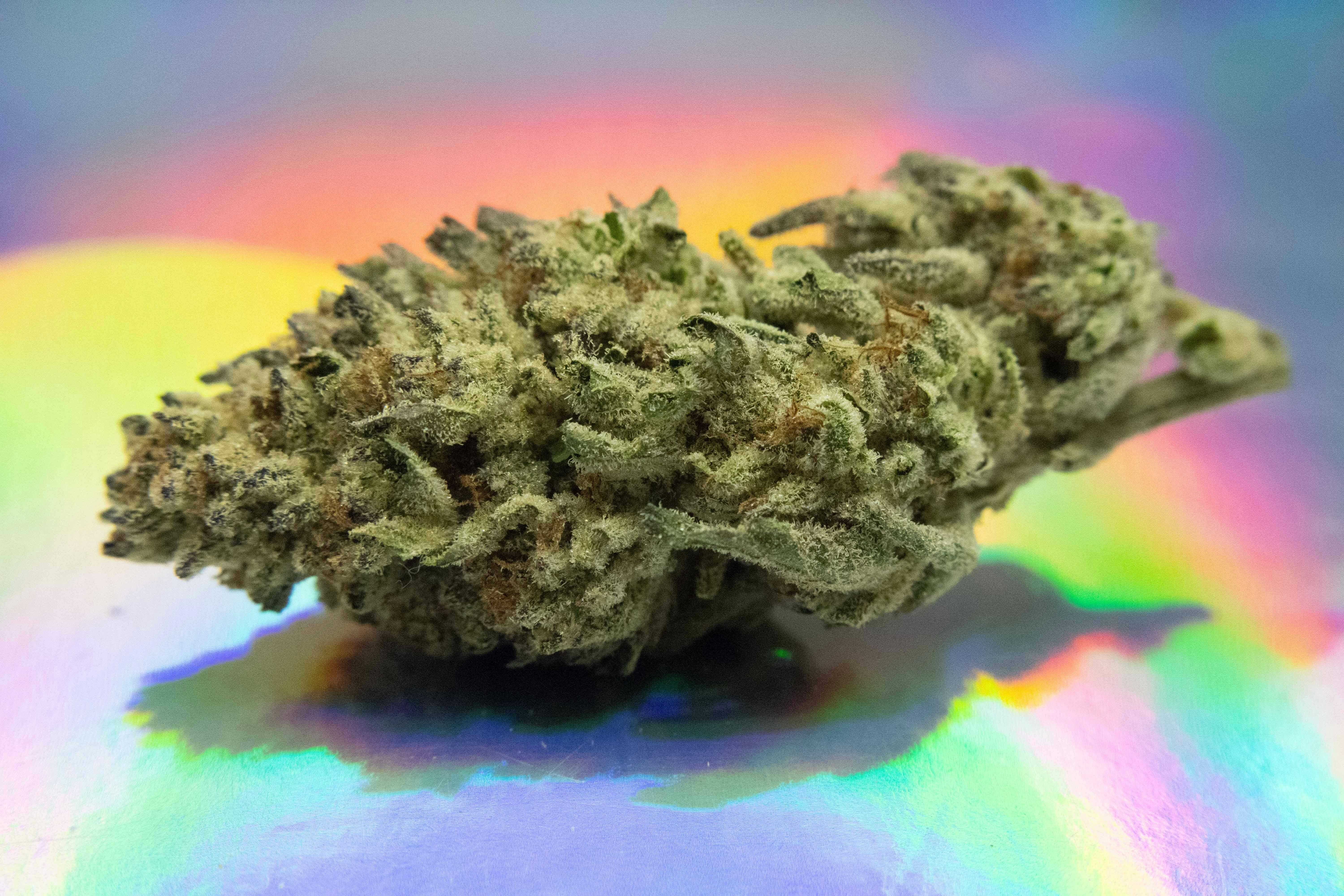 Trusty Transportations: Secret Weapon