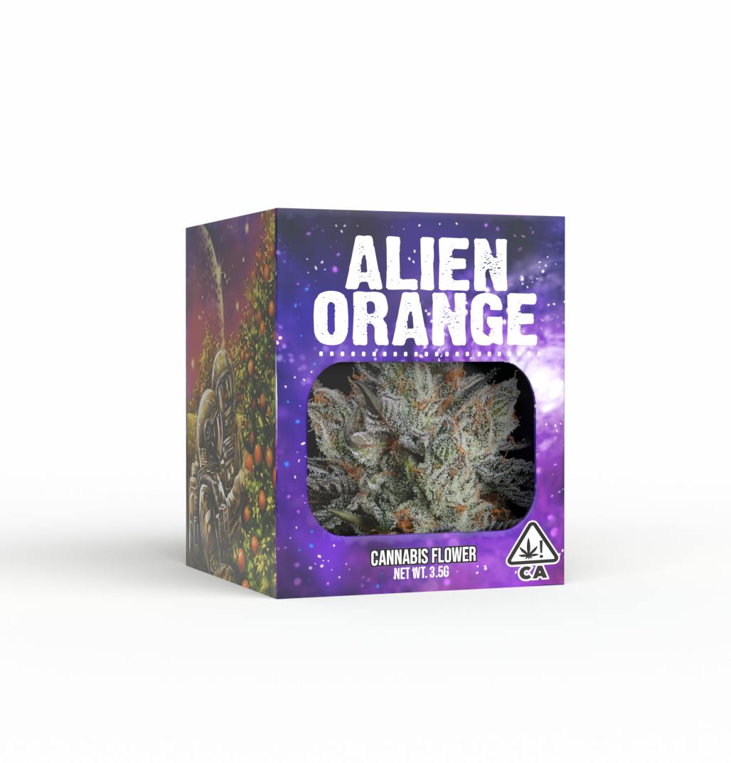 Decibel Gardens — Alien Orange